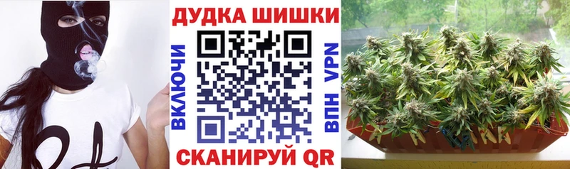 Где можно купить наркотики Лосино-Петровский А ПВП  Амфетамин  МЕФ  Гашиш  КОКАИН  Марихуана 