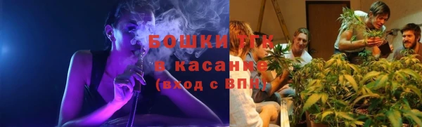 ПСИЛОЦИБИНОВЫЕ ГРИБЫ Абаза