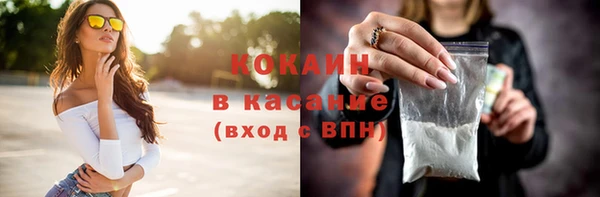 ПСИЛОЦИБИНОВЫЕ ГРИБЫ Абаза