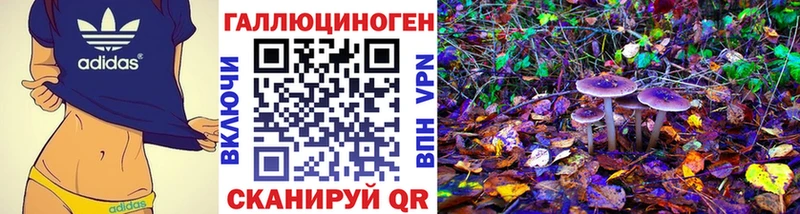 Галлюциногенные грибы Psilocybine cubensis  Лосино-Петровский 