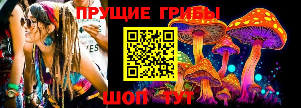 Псилоцибиновые грибы мицелий Лосино-Петровский