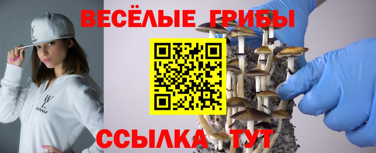 Псилоцибиновые грибы Magic Shrooms  Вход с VPN  Лосино-Петровский 